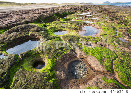 Seongsanpo海灘的海港口大廳 Seongsanpo海灘的海港口大廳 43403948