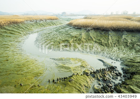 River, River, 43403949