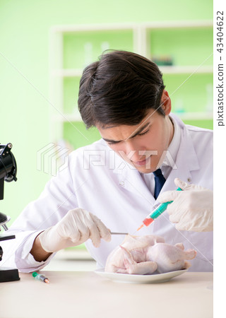 Lab assistant testing GMO chicken 43404622