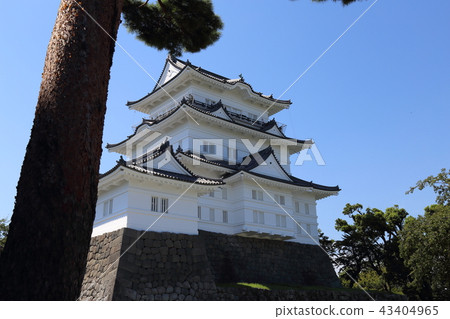 小田原城堡本丸 小田原城堡本丸 43404965