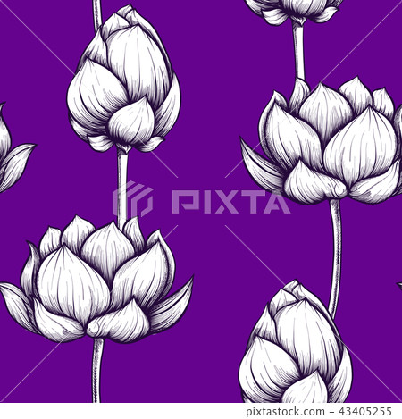 Seamless pattern, background with lotus flower. Botanical illust 43405255