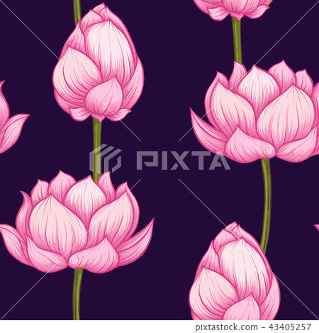 Seamless pattern, background with lotus flower. Botanical illust Seamless pattern, background with lotus flower. Botanical illust 43405257