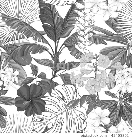 Vector seamless pattern, background with tropical plants Vector seamless pattern, background with tropical plants 43405891
