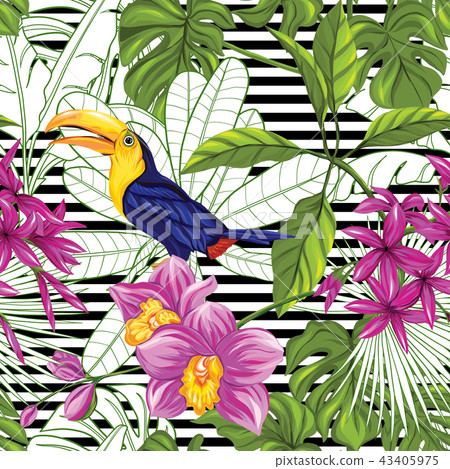 Vector seamless pattern, background with toucan and tropical plants Vector seamless pattern, background with toucan and tropical plants 43405975
