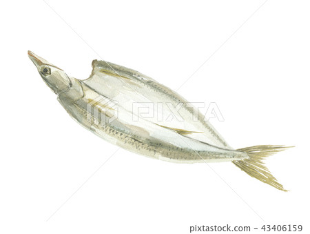 Kamas dried fish 43406159