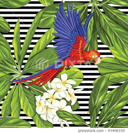 Seamless pattern, Hand drawn background with white plumeria Seamless pattern, Hand drawn background with white plumeria 43406350