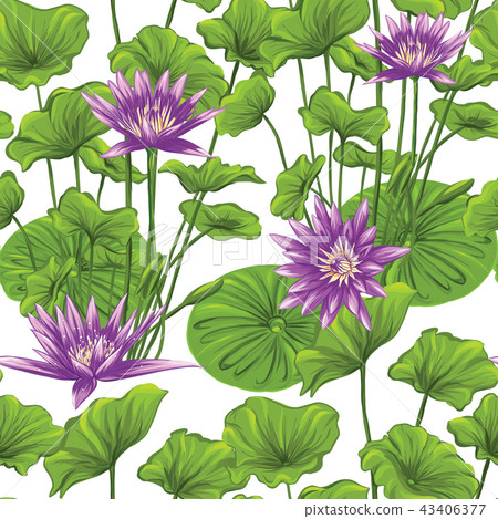 Vector seamless pattern, background with tropical plants  43406377