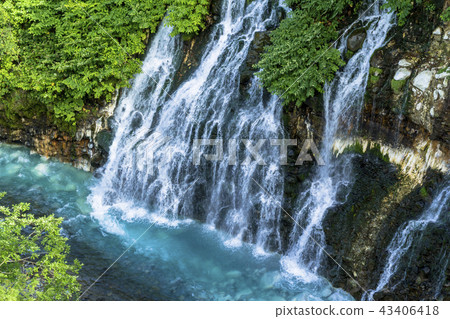 Biei platinum's white mustache waterfall Biei platinum's white mustache waterfall 43406418