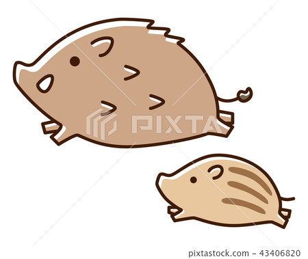 Wild boar and child 43406820