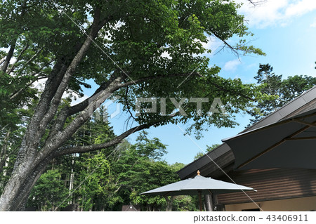 北海道湖支笏區開放空間 43406911