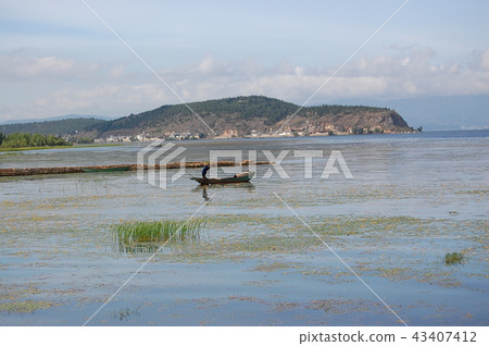 Catching fish in Bohai Sea Catching fish in Bohai Sea 43407412