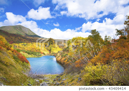 Taisetsu Kogen swamp autumn leaves 43409414