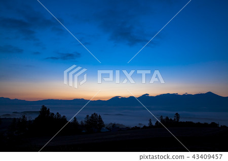 Senzoku Aoi dawn Senzoku Aoi dawn 43409457