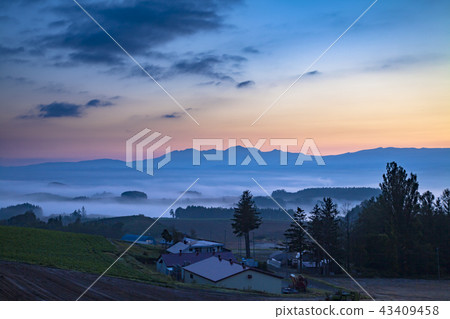 Senzoku Aoi dawn Senzoku Aoi dawn 43409458