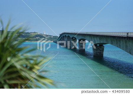 The blue sea of Okinawa (Kouri island) A couple who lives in the seaside of a southern country The blue sea of Okinawa (Kouri island) A couple who lives in the seaside of a southern country 43409580