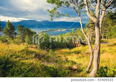 Panoramic view of fjord from mount Panoramic view of fjord from mount 43409583