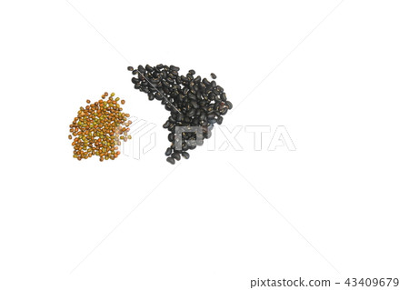black and green beans closeup on white background black and green beans closeup on white background 43409679