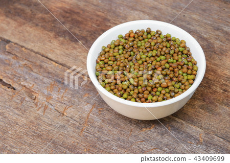 mung bean in white bowl on wooden background mung bean in white bowl on wooden background 43409699