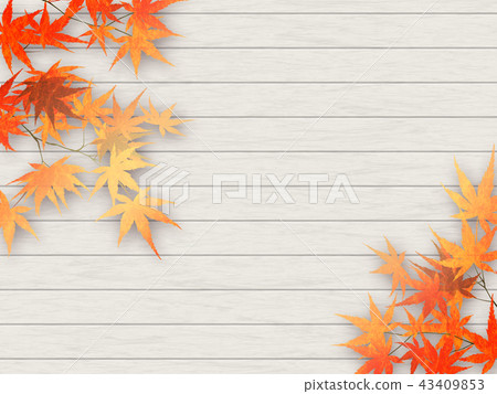 Autumn leaves 43409853