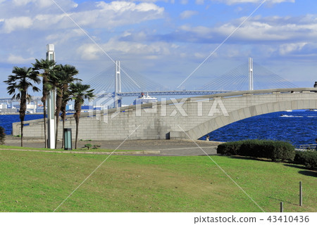 Rinko公園和橫濱港景觀 43410436
