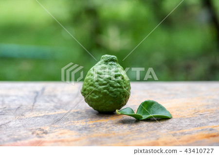 Bergamot fruit with leaf from garden on wood table Bergamot fruit with leaf from garden on wood table 43410727