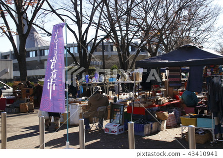 In Oedo antique city (Yoyogi Park zelkova trees) 43410941