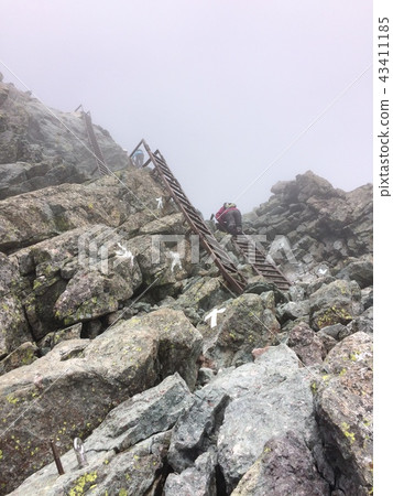 Dumpling to the top of Mt. 43411185