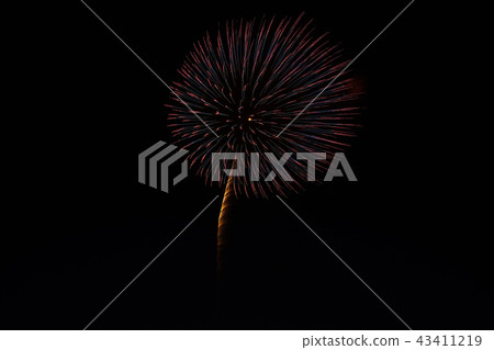 Fireworks 43411219
