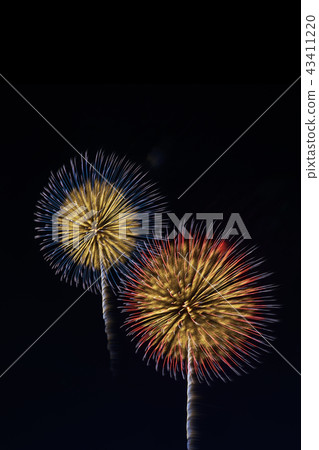 Fireworks 43411220