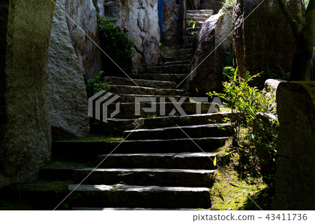 樓梯 43411736