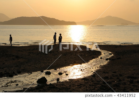 Omi海岸的晚上視圖 Omi海岸的晚上視圖 43411952