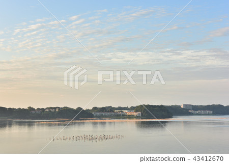 Persimmons and salmon that rest on the oyster shelf 43412670