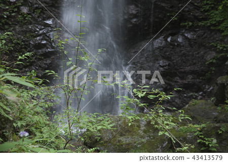 Tobisawa Falls Summer 43413579