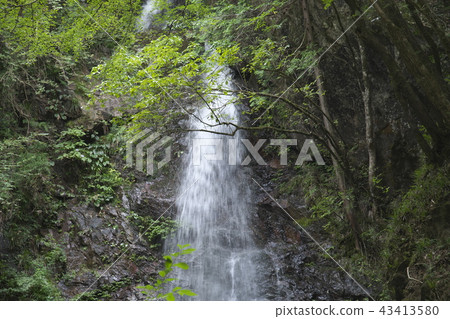 Tobisawa Falls Summer Tobisawa Falls Summer 43413580