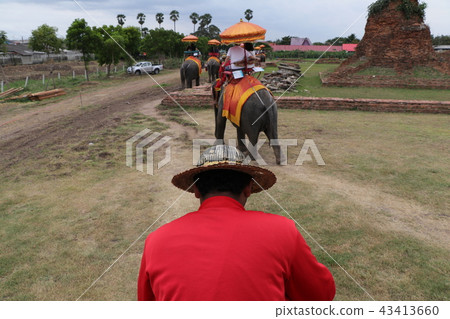 Elephant riding experience 4 (Thailand Ayutthaya) 43413660
