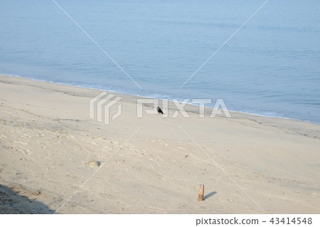 唐津海 唐津海 43414548