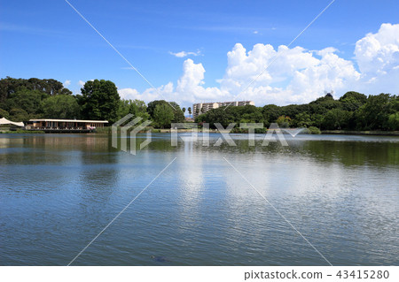 Osaka City Nagai Botanical Garden Osaka City Nagai Botanical Garden 43415280