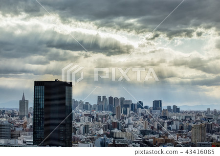 [東京，觀點]新宿，高層建築群 43416085