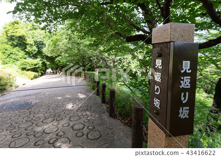 Marugame Castle在石垣的春天著名城堡 - 現有的十二個帳篷 -  43416622