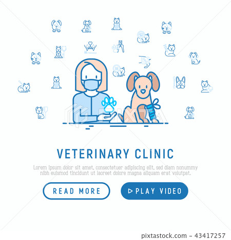 Veterinary clinic concept: dog with broken leg 43417257
