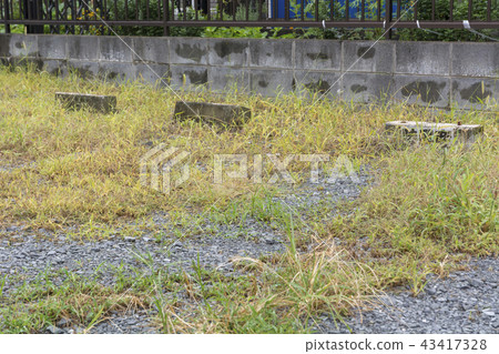 Secondary income for using vacant land 43417328