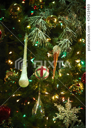 Christmas tree  43418469