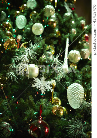 Christmas tree Christmas tree 43418470