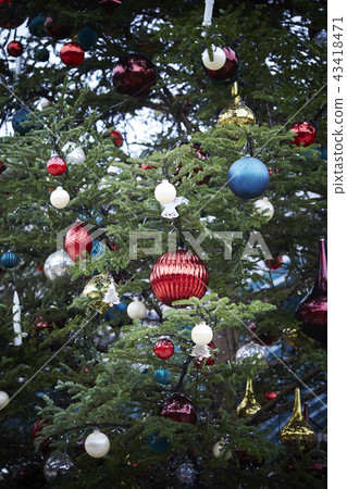 Christmas tree Christmas tree 43418471