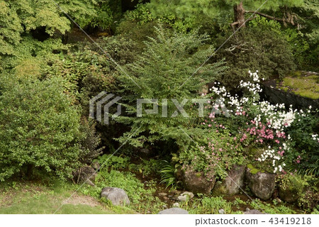老墳塋在秋天 老墳塋在秋天 43419218
