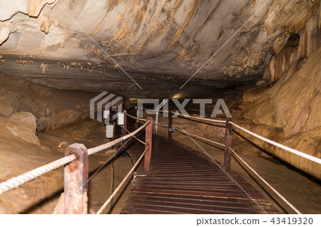 Limestone formation inside caves at Mulu  43419320