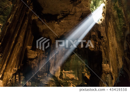 Shafts of sunlight from Mulu cave roof  43419338