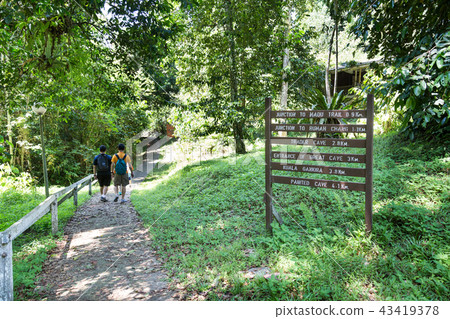Group of people walking to Niah cave on plank path Group of people walking to Niah cave on plank path 43419378