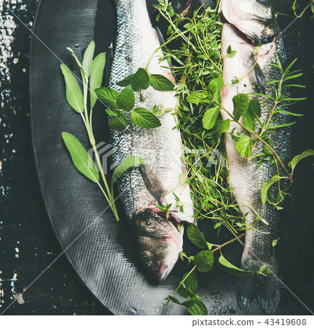 Flat-lay of raw uncooked sea bass with herbs, square crop Flat-lay of raw uncooked sea bass with herbs, square crop 43419608