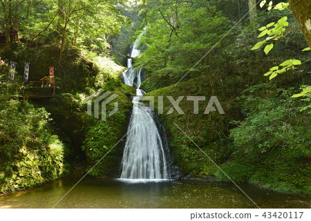 [Shinjo City, Aichi Prefecture] Seven waterfalls of Atera (100 selected waterfalls in Japan) 43420117
